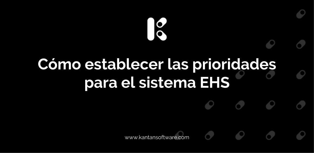 Establecer Las Prioridades Para El Sistema EHS