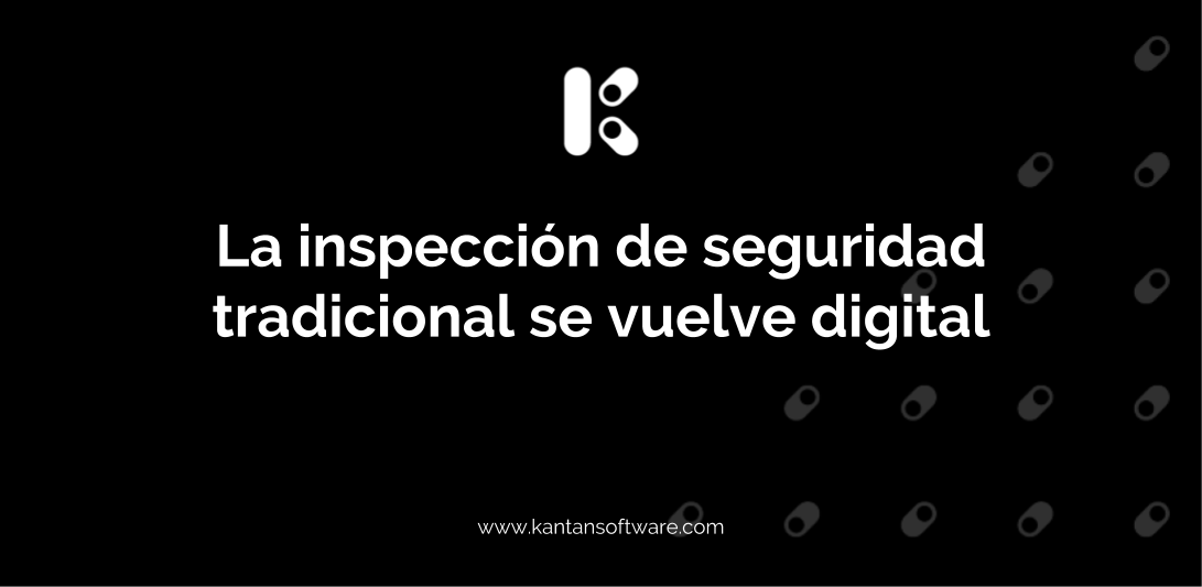 inspección de seguridad