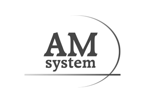 AM System