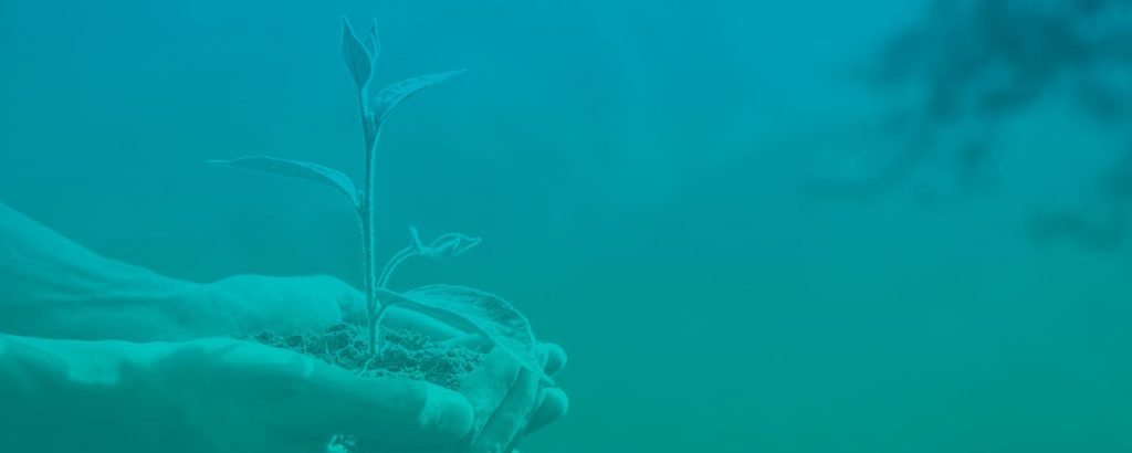 El Control de Procesos Ambientales mediante la ISO 14001